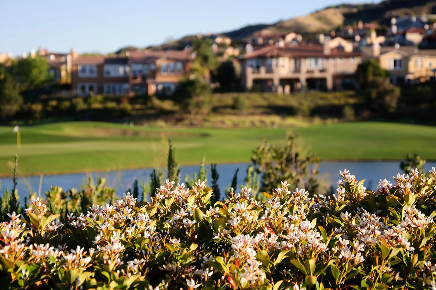 Behavioral Health Services in Santa Clarita CA Behavioral health services in San Luis Obispo CA
